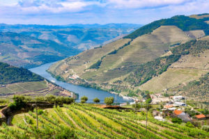 Wine tasting in Porto and Douro Valley