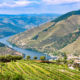 Wine tasting in Porto and Douro Valley