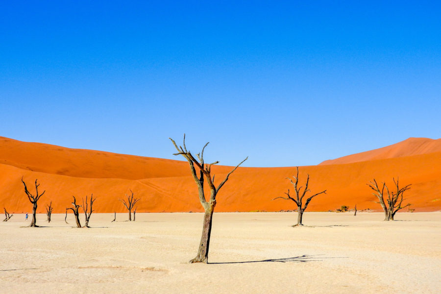 Road trip adventure into the Namibian Desert